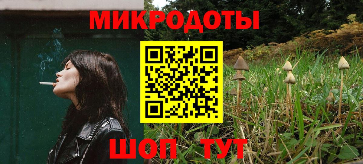 Псилоцибиновые грибы Psilocybe Электросталь