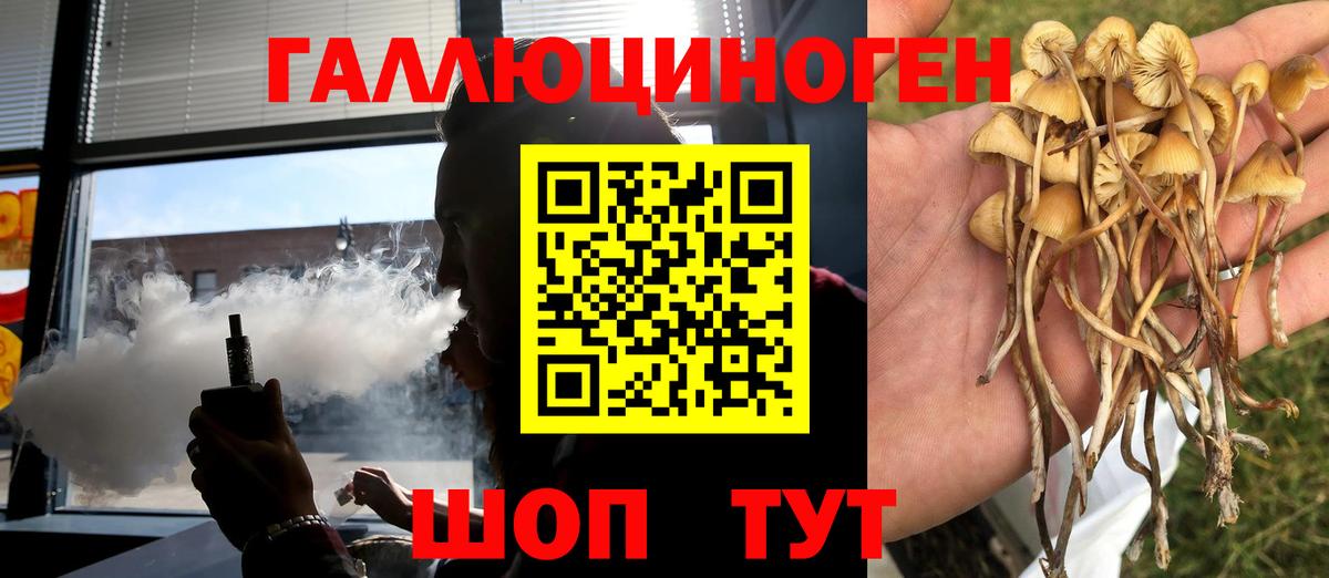 Псилоцибиновые грибы Psilocybine cubensis  где продают наркотики  Электросталь  Галлюциногенные грибы ЛСД  Вход с VPN 